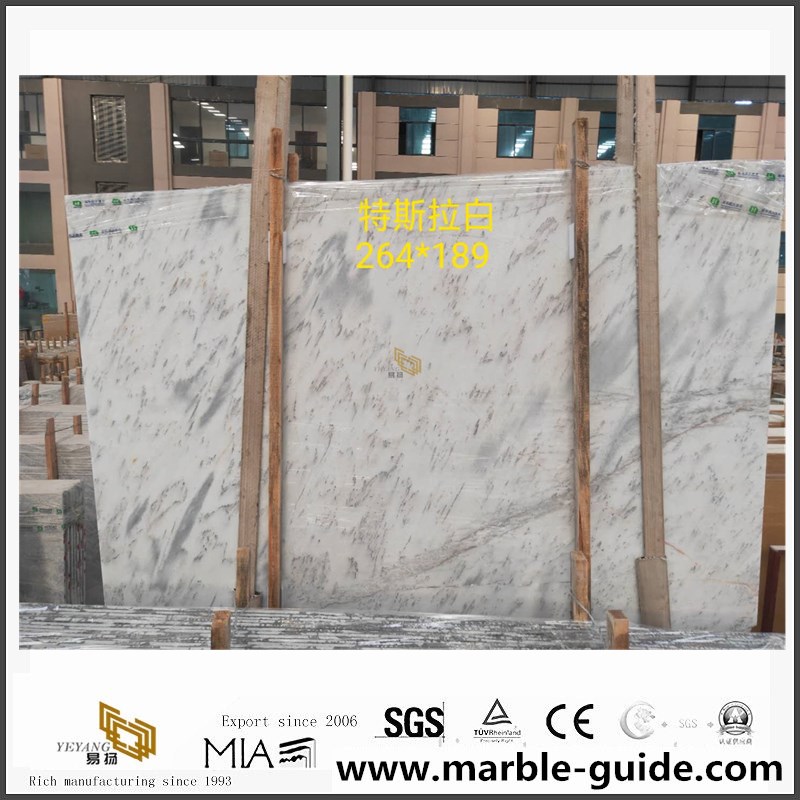 Tesla White Marble Slabs for sale 