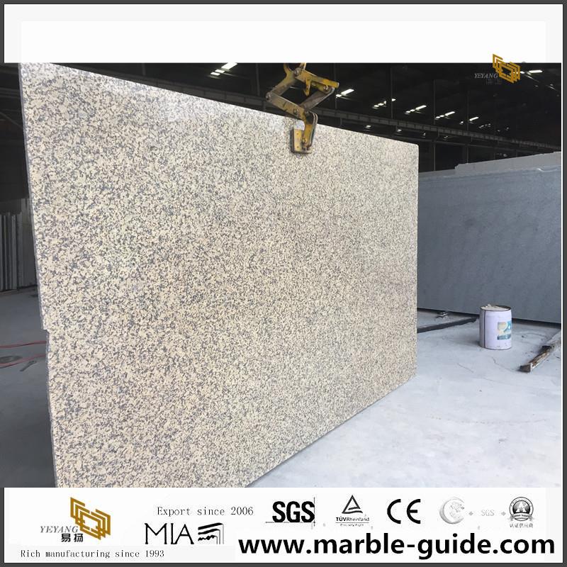 China Chrysanthemum Yellow Granite Slab & Countertops 3