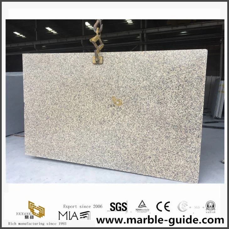 Chrysanthemum gule granittplater til salgs